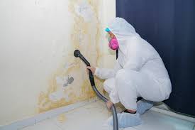 Mold Removal for HVAC Installations in Hogansville, GA